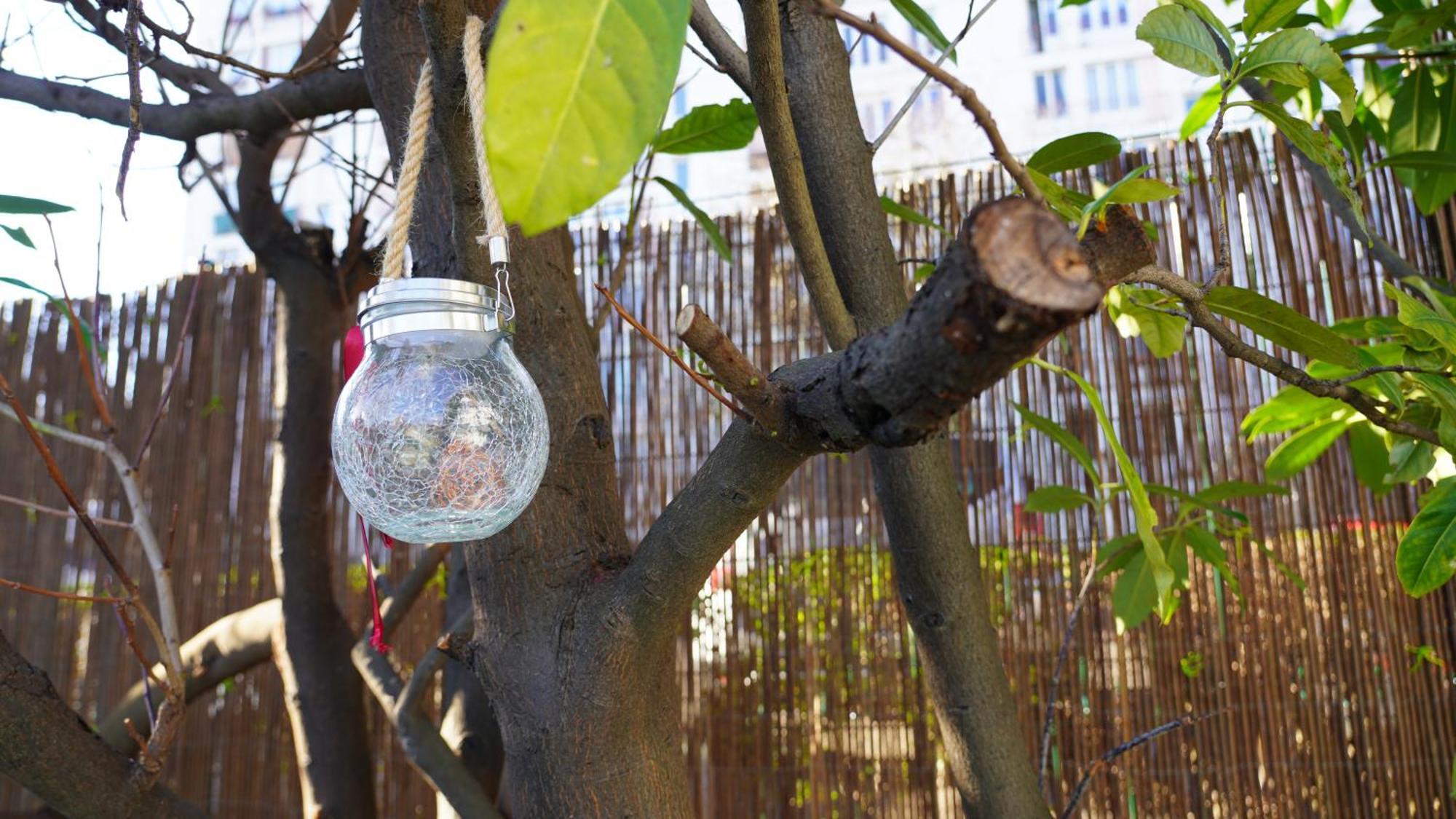 Koalawakeup * Vitry-sur-Seine
